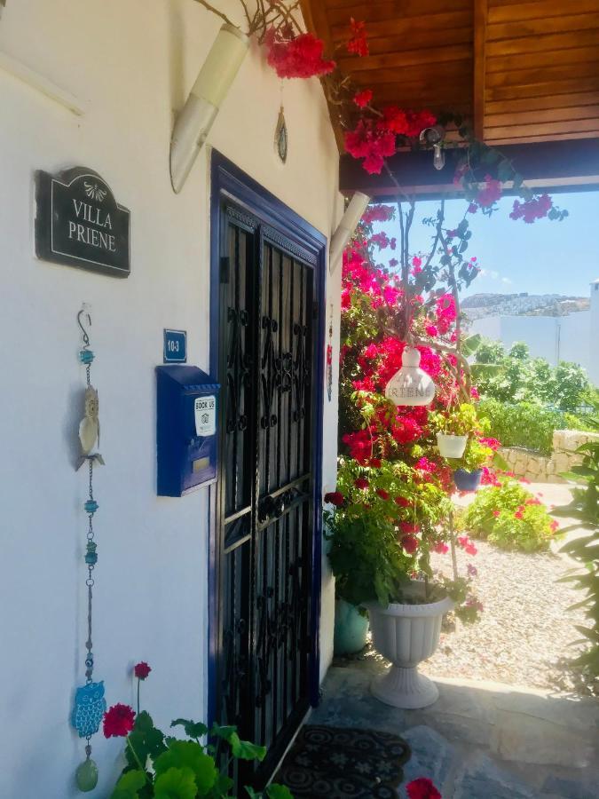 Villa Priene - Gumusluk Private Pool Eksteriør bilde